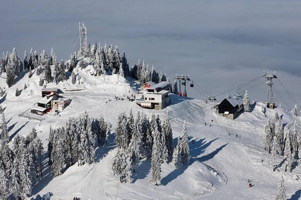 Charming In A Private Mountain Brasov