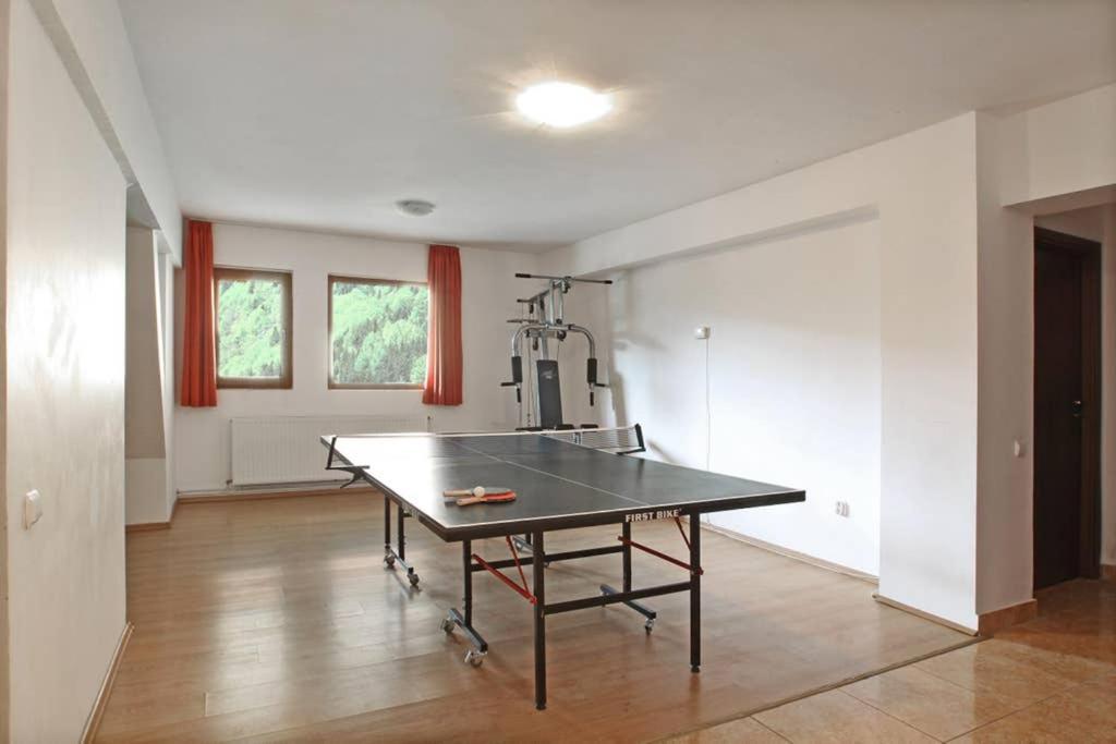 Villa Charming In A Private Mountain Brasov