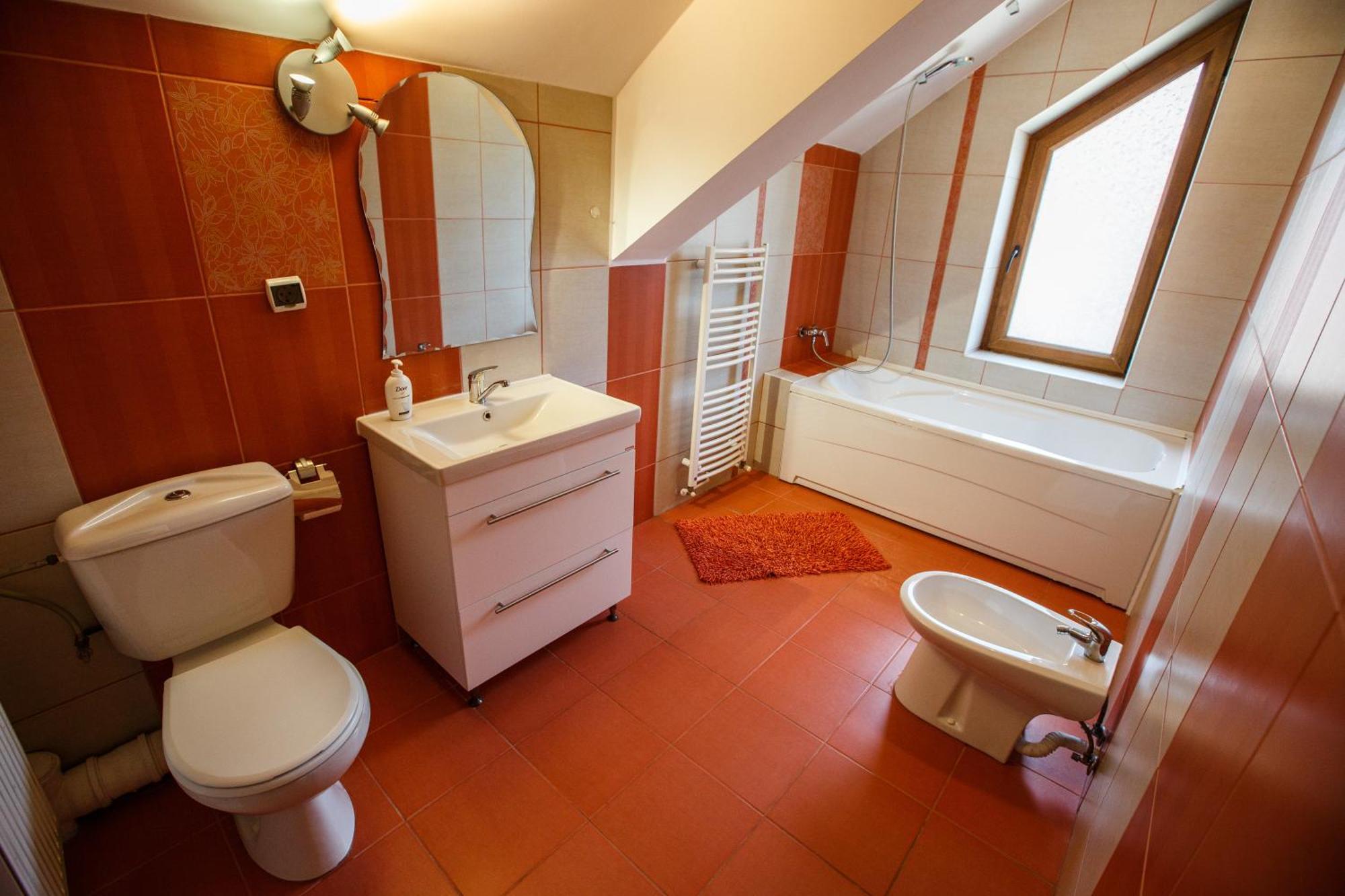 Charming In A Private Mountain Villa Braşov