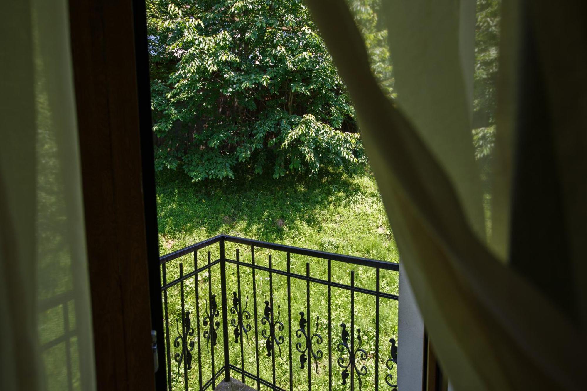 Charming In A Private Mountain Brasov